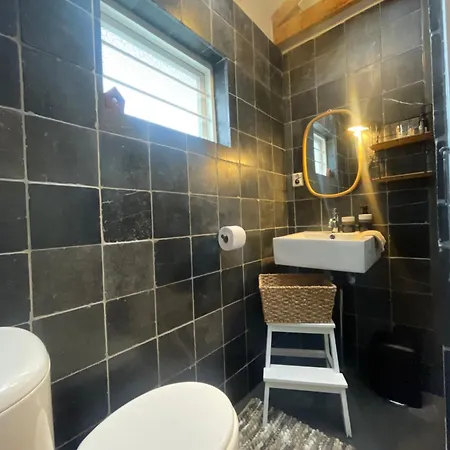 Kust 1 * Egmond aan Zee