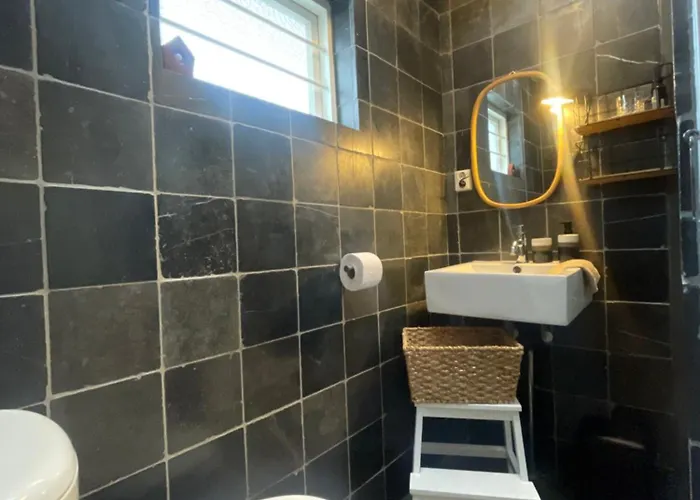 Kust 1 * Egmond aan Zee