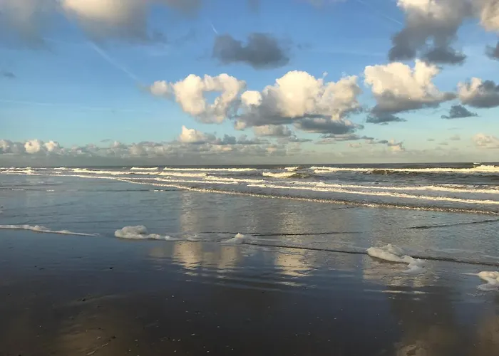 Kust 1 Dom wakacyjny Egmond aan Zee